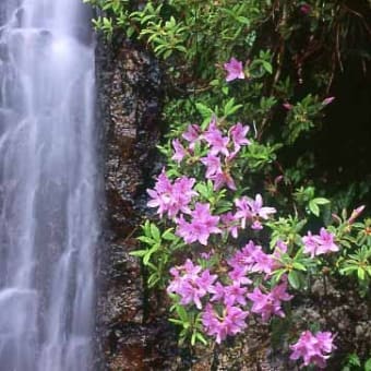 芭蕉に学ぶ写真の極意11