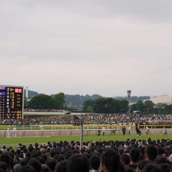 レース回顧＆現地レポート：日本ダービー（2010）その１