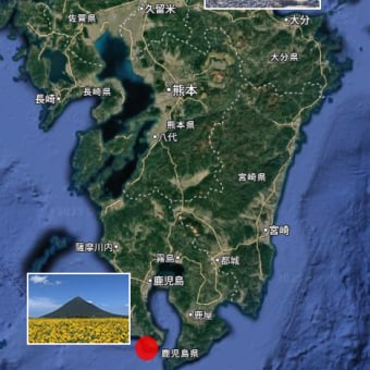 頭と指と南北線