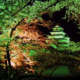 まほろば～鶴ヶ城の夜桜