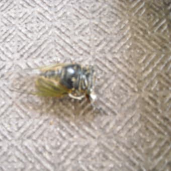 ひと休み、ひと休み？？？