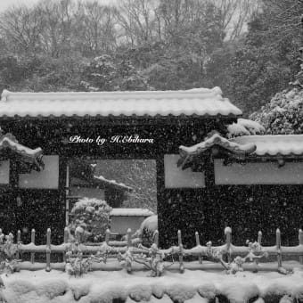 関東大雪