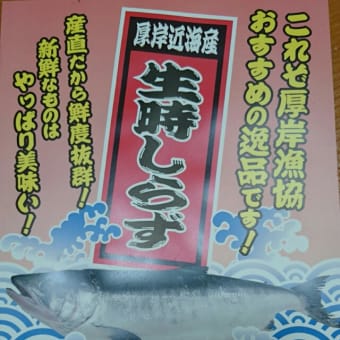 時鮭(時しらず)のクリームシチュー