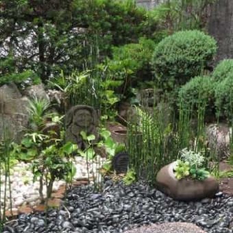 梅雨の気配・九州南部は梅雨入り