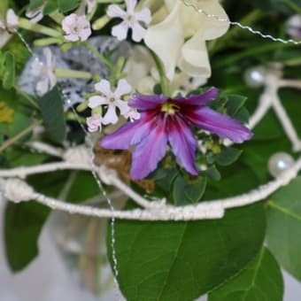 2022.5 瓶花 - 花工房よこちGallery ﾌﾗﾜｰｱﾚﾝｼﾞﾒﾝﾄ＊いけばな＊押し花