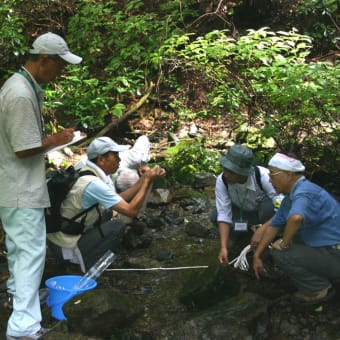 2006/9/10　高尾水環境調査