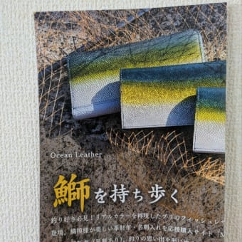釣りフェス2025in横浜と成人の日のシロギス釣果