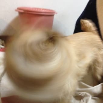 デストロイヤー