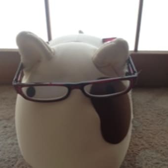 メガネ