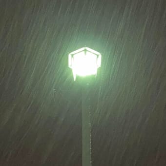夜行