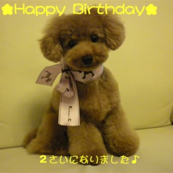 ☆Happy　Birthday☆