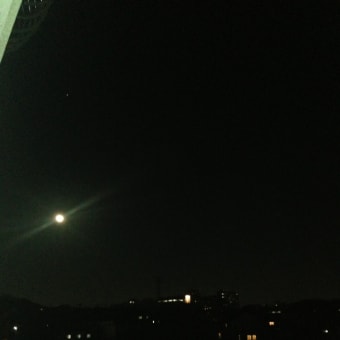 夜間飛行