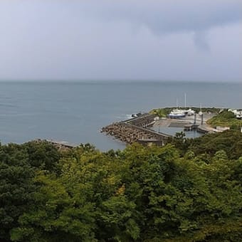 頭痛から復活、そして海岸への冒険（初島二日目）