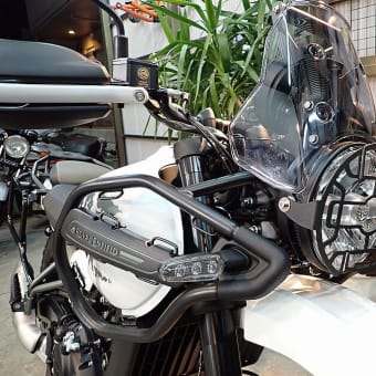 KAWASAKI レザージャケットのご紹介!! - Rider's Land YOYO KAWASAKI レザージャケットのご紹介!! - Rider's Land YOYO