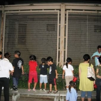 夏休み夜の動物園観察会