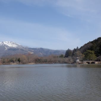 今年初めて滋賀の低山へ