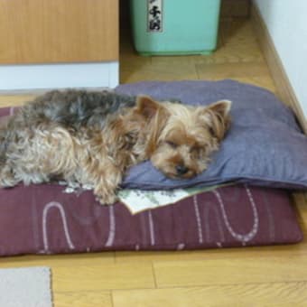 なまくらなまくら
