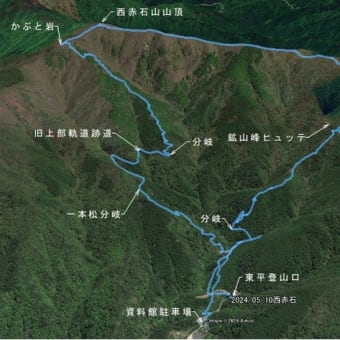 １０日．アケボノツツジを観に四国西赤石山へ