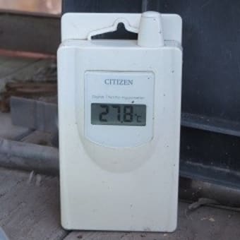 夏の思い出 （今日も振り返ってみた）