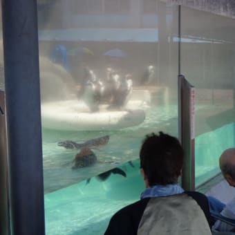 魚津水族館ドライブ(^o^)