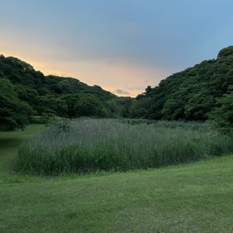 「池子問題について（基地対策課の名称変更について）」一般質問