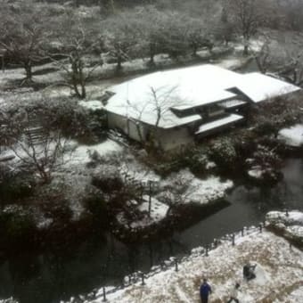 京都八瀬始めての雪景色