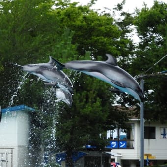 Ｓｐｌａｓｈ!　2017年帰省旅＊のとじま水族館編
