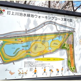 大阪　寝屋川　桜の並木道