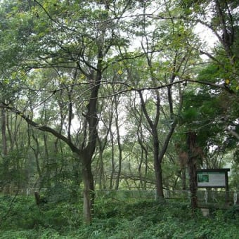 八丁湖公園