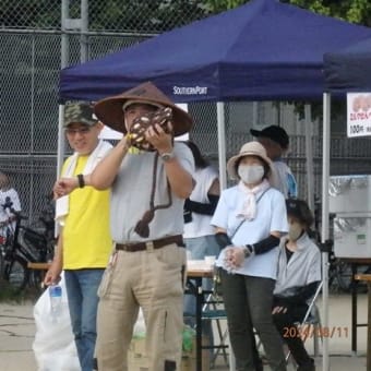 平野西公園夏まつり