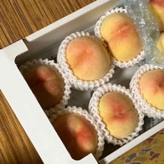 あとは待つしかないそうな