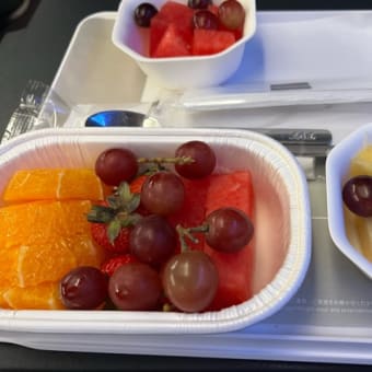 ⑬2024年最後の旅行🛩️は、シドニー〜最終ブログです。