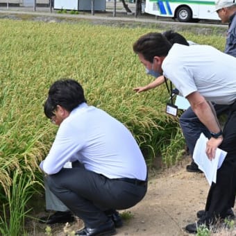 美唄市長が作況視察訪問