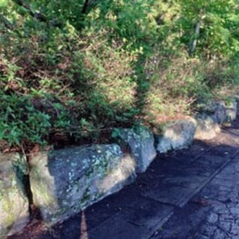 神社の草刈り