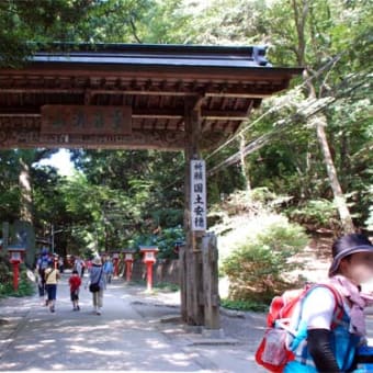 涼を求めて高尾山へ