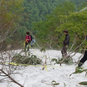 今週末（H29.5.27）は世界自然遺産「白神山地」二ツ森山開きですよ！