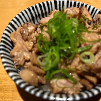 鴨だしらぁ麺 轟（溝口）その１