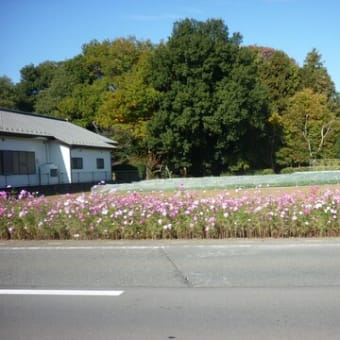 いつもの所いつもの様に