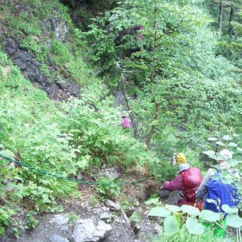 日本百名山仙丈ヶ岳山行報告（その３）