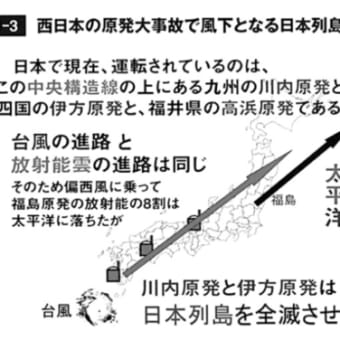 「宮古on Web「宮古伝言板」後のコーケやんブログ」画像一覧