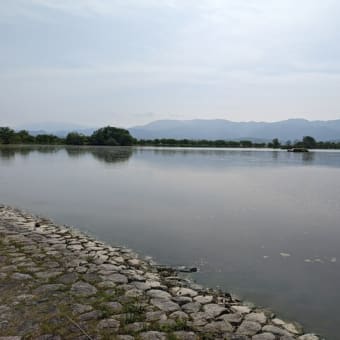 瓢湖あやめ園