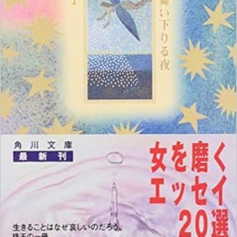 小川洋子　『妖精が舞い下りる夜』　角川文庫