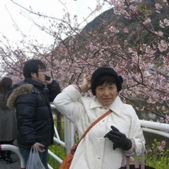 ２月もさようなら　河津桜は咲いてたよ。