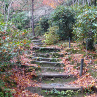 2011年12月3日（土）　滝口寺