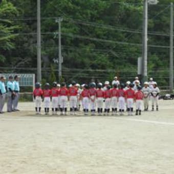 5/6 亀岡少年野球桜杯争奪戦大会 学童Cの部優勝しました！！