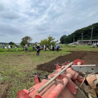雑草との戦い