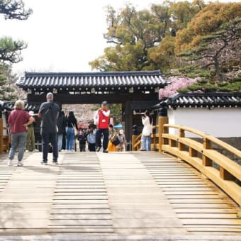  (付録) 桜花咲き初むる和歌山城… 西国３社めぐりの旅(4/4)