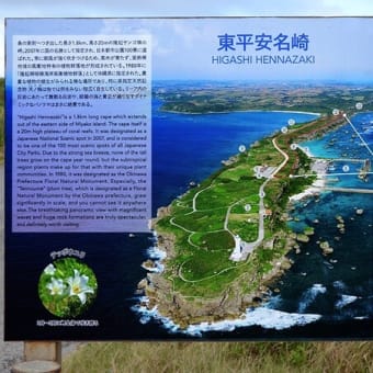 早春の南の島