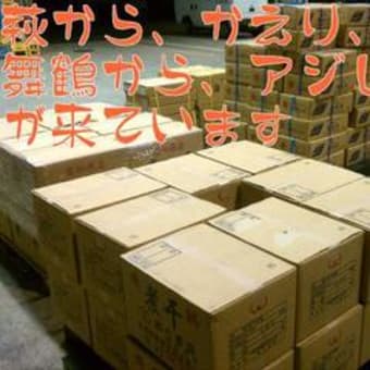 四国 海産物 高知 土佐 一日干し ちりめん だしじゃこ うるめの島田海産食品