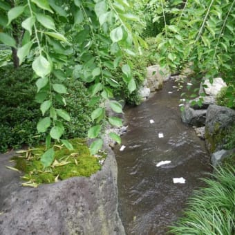 京都　城南宮茅の輪くぐり 人形(ひとがた)流し (6/25～/30)